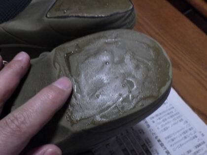 WG802770.JPG